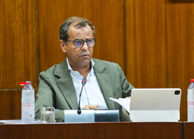 Juan de Dios Mellado, director general de la RTVA, comparece ante la Comisin de Control de la RTVA a fin de informar sobre programacin de Canal Sur para la temporada de verano 2025
