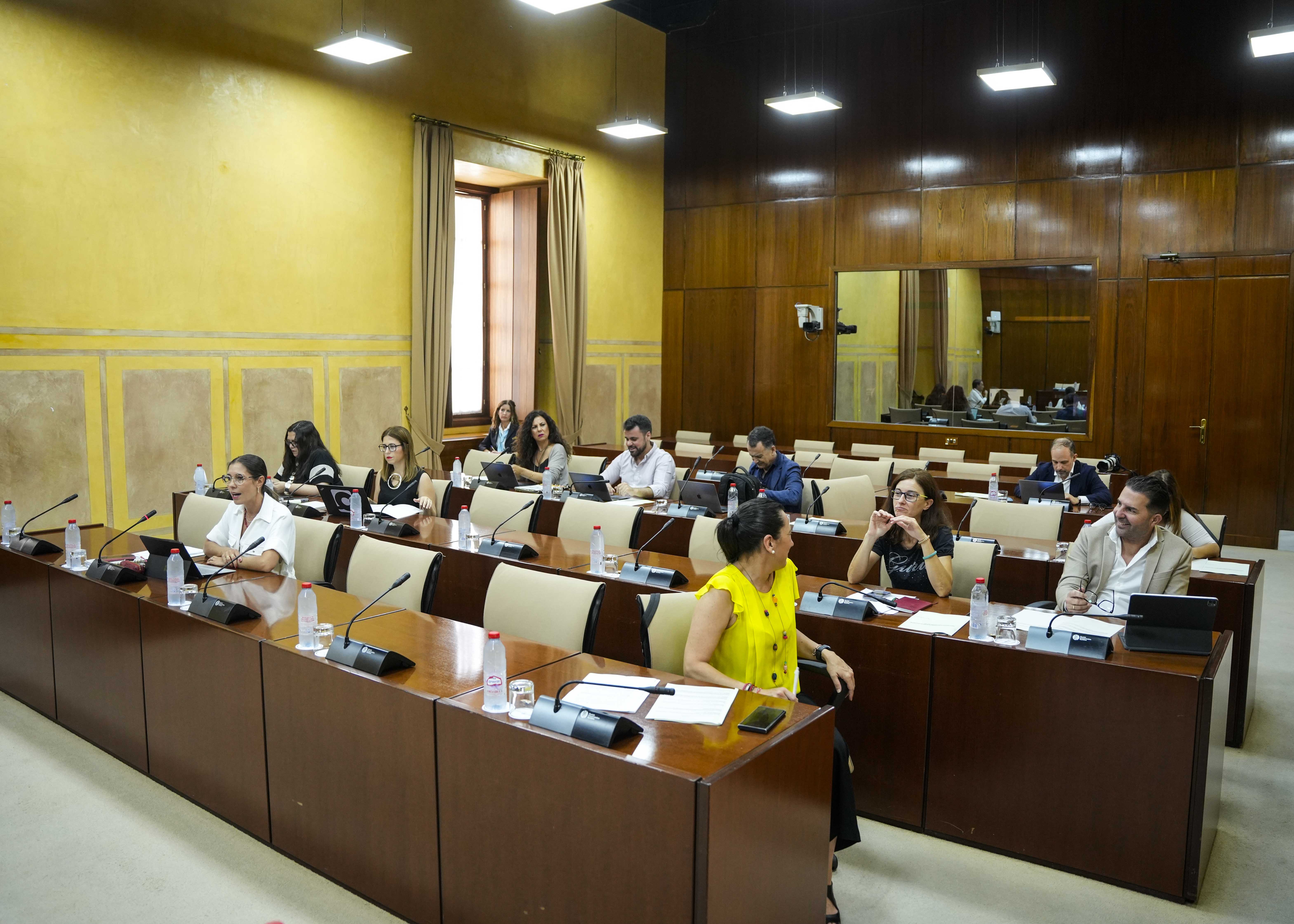  Diputados de la Comisin de Control de la RTVA preparndose para el inicio de la sesin de esta maana
