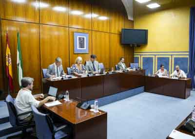  La Mesa de la Comisin de Cultura y Deporte con la consejera Patricia del Pozo al inicio de la sesin de esta tarde
