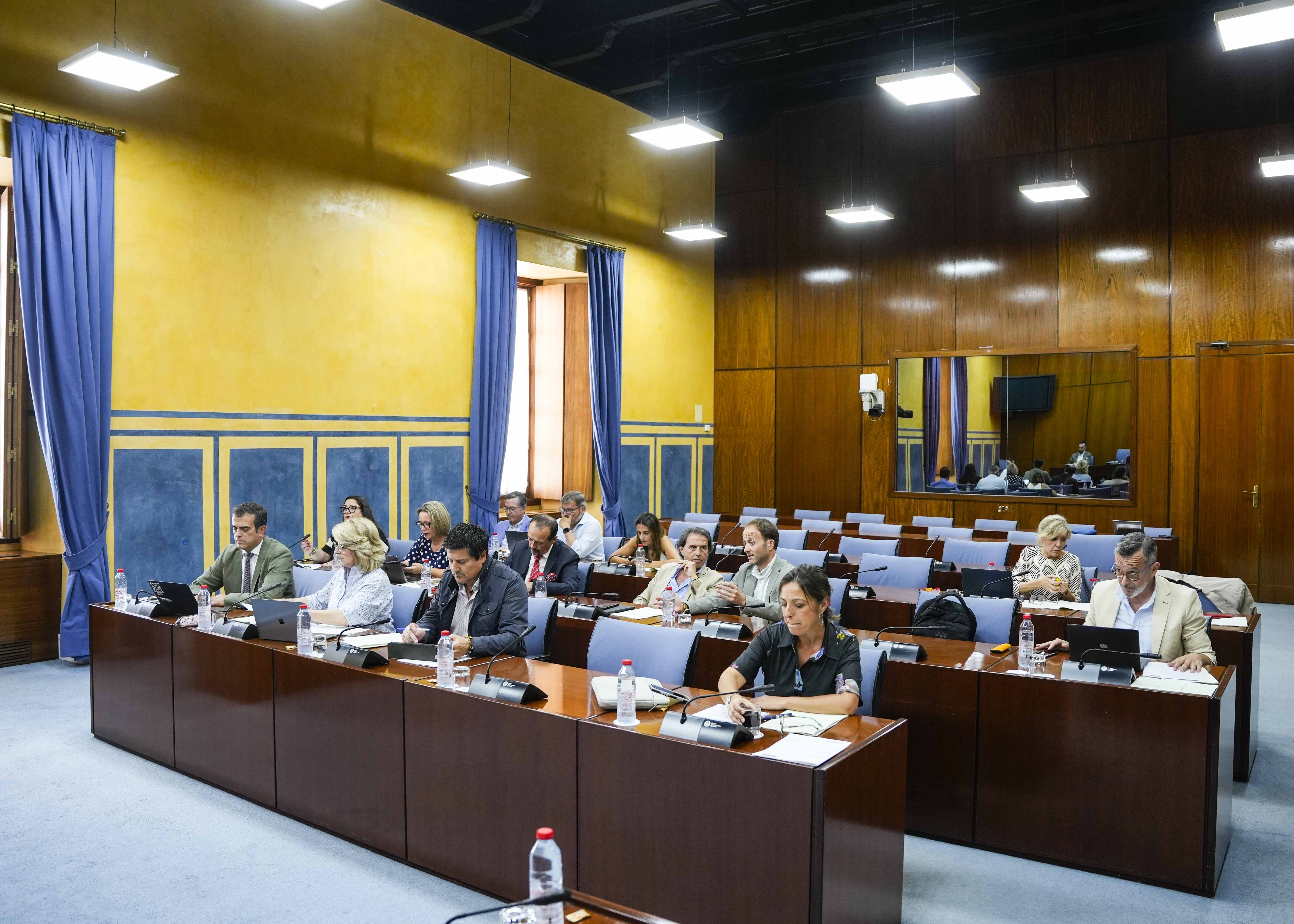   Los diputados de la Comisin de Cultura y Deporte al inicio de las comparecencias de la consejera Patricia del Pozo