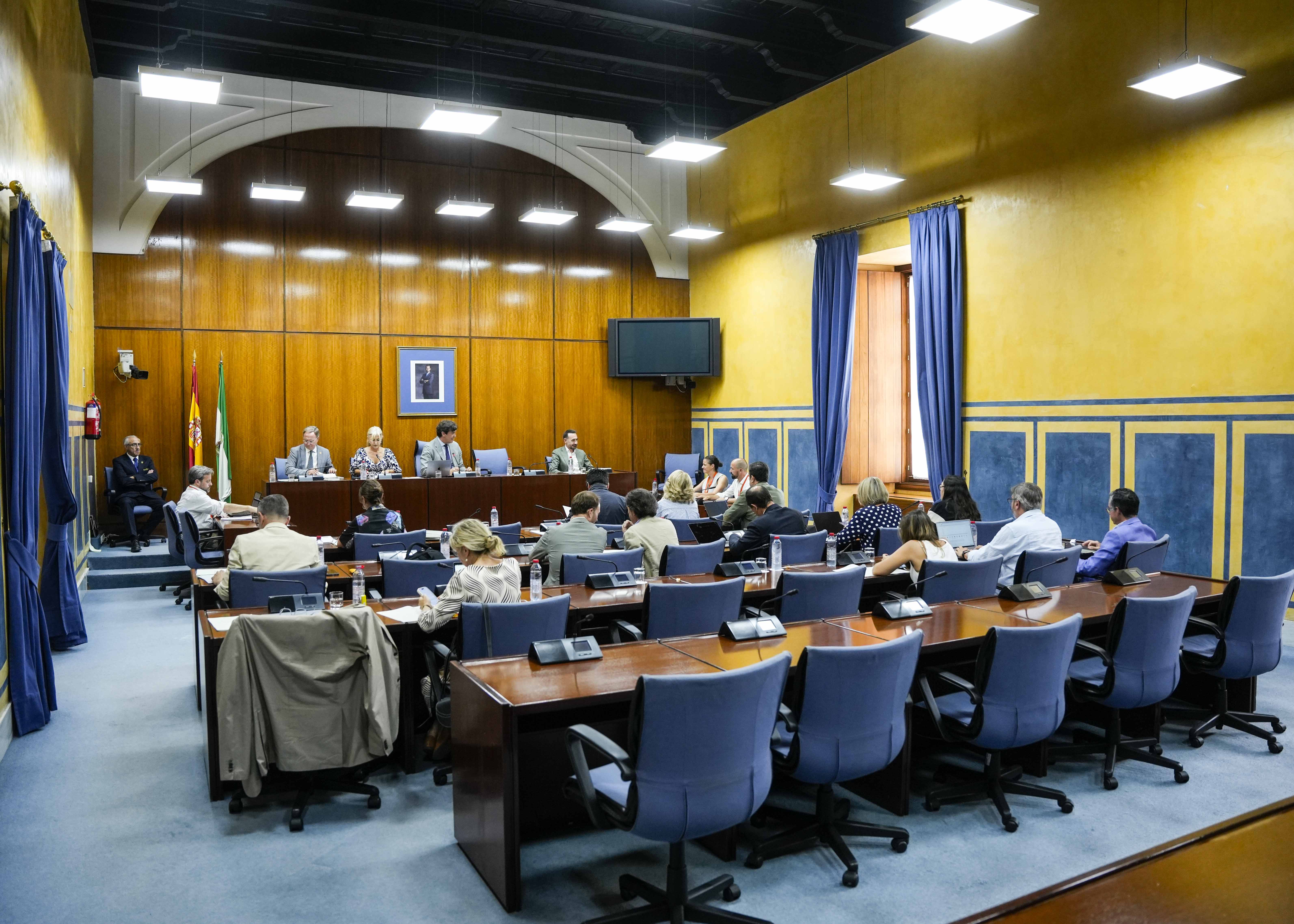  La Comisin de Cultura y Deporte durante una de las comparecencias de la consejera Patricia del Pozo