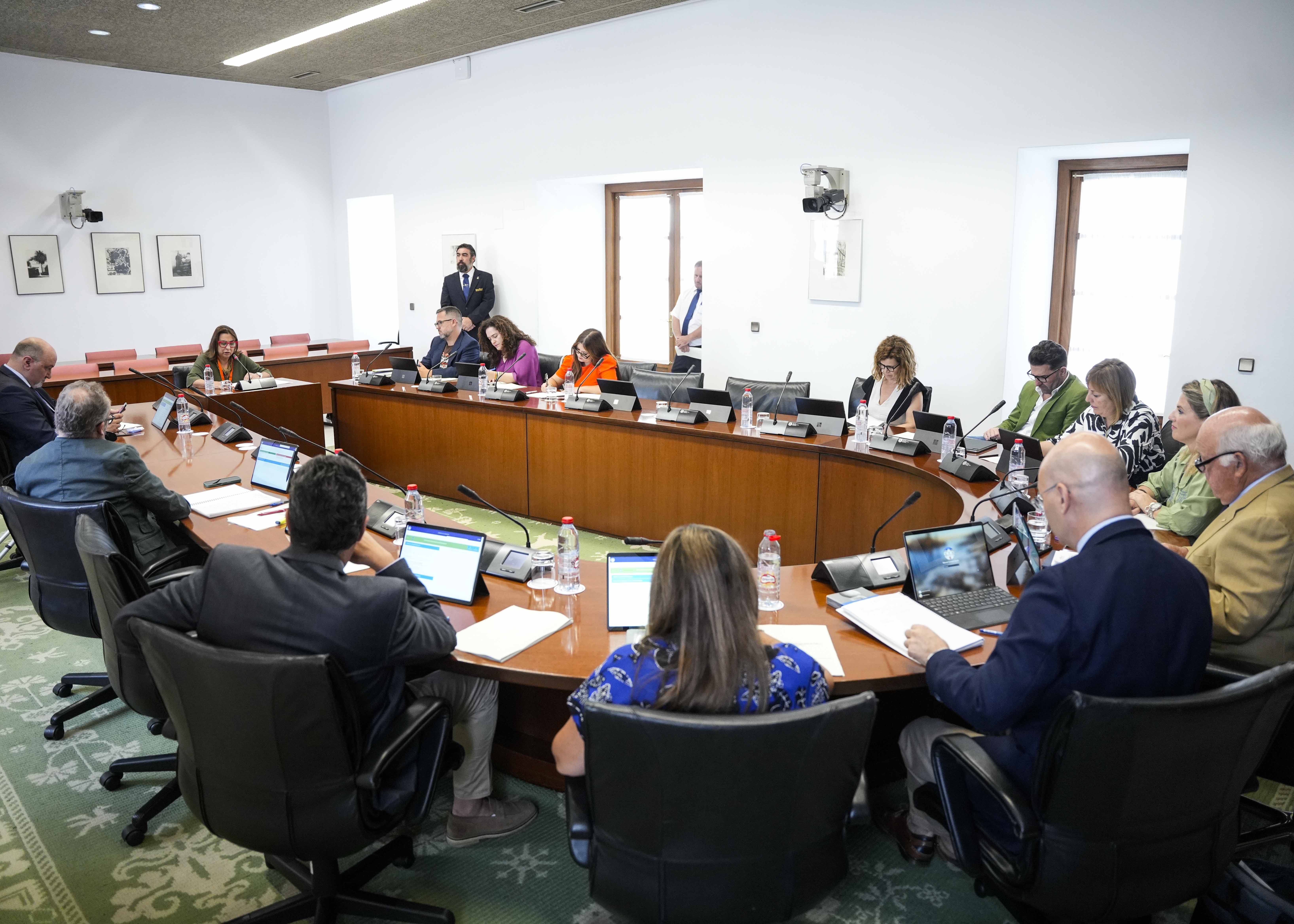 La Comisin Consultiva de Nombramientos, Relaciones con el Defensor del Pueblo Andaluz y Peticiones durante la comparecencia de Rosario Garca Palacios, candidata propuesta a Defensora del Pueblo Andaluz