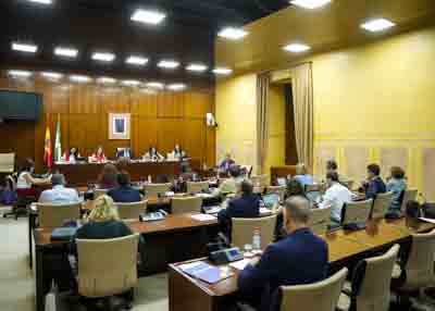  La Comisin de Sostenibilidad y Medio Ambiente al inicio de la comparecencia de la consejera Catalina Garca