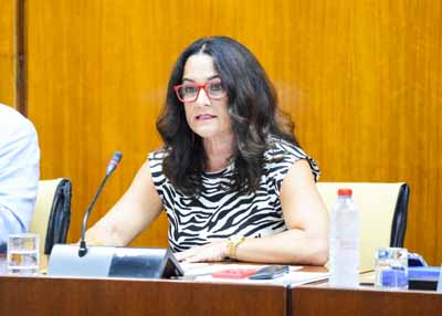 La consejera de la Cmara de Cuentas de Andaluca, Sandra Garrido, ha presentado el Informe de fiscalizacin de las
subvenciones concedidas a establecimientos hoteleros afectados por el COVID, ejercicios 2021, 2022 y 2023 ante la Comisin de Turismo y Andaluca Exterior