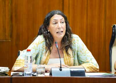  Loles Lpez, consejera de Inclusin Social, Juventud, Familias e Igualdad, en una de sus comparecencias de esta maana, relativa a poltica general en materia de dependencia en Andaluca