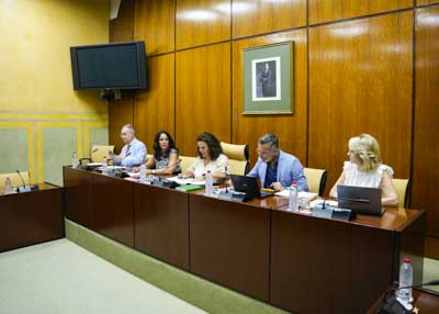 La Mesa de la Comisin de Turismo y Andaluca Exterior con la consejera de la Cmara de Cuentas de Andaluca, Sandra Garrido