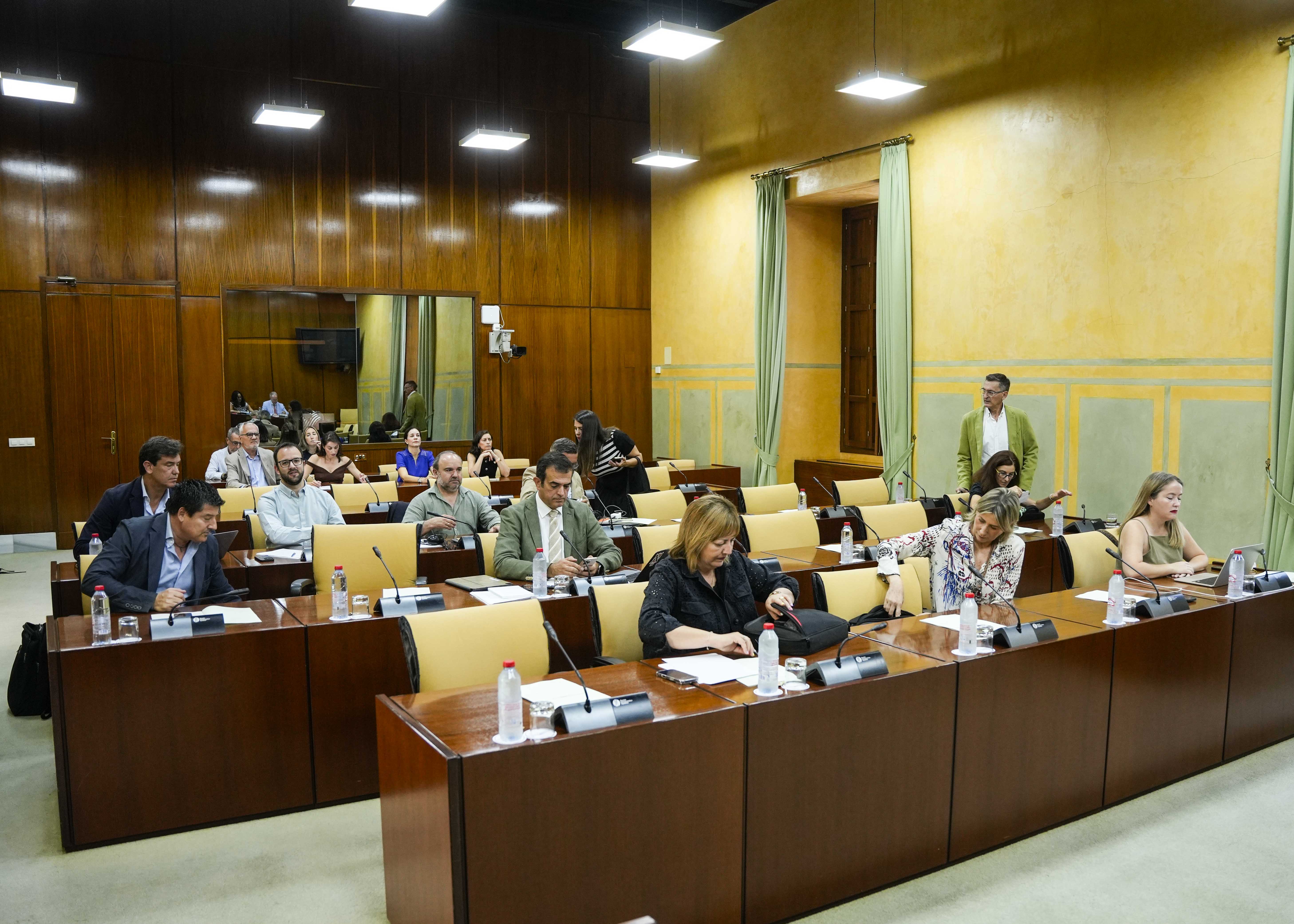  Diputados de la Comisin de Turismo y Andaluca Exterior preparndose para el inicio de la sesin de esta maana