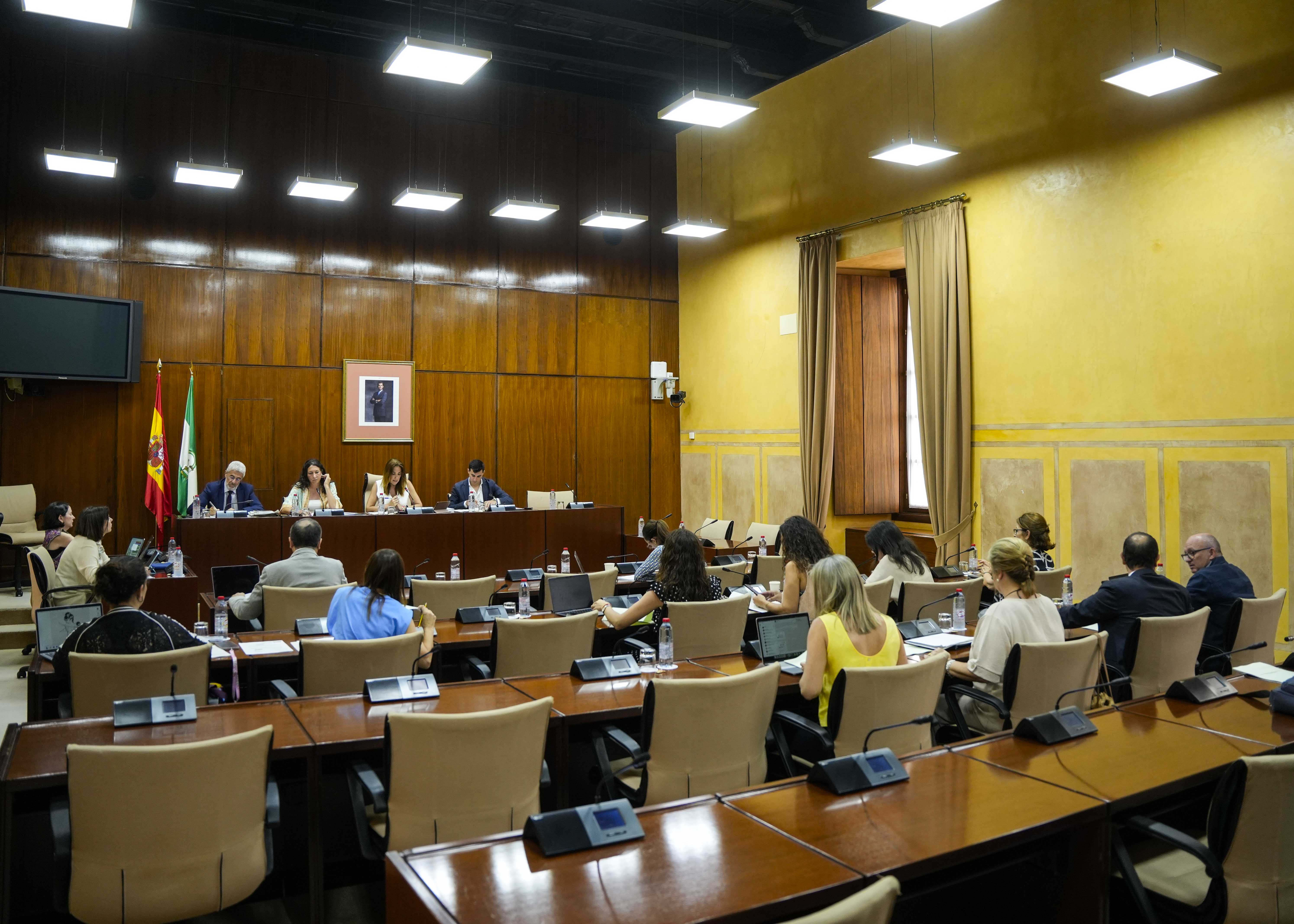  La Comisin de Inclusin Social, Juventud, Familias e Igualdad al inicio de las comparecencias de la consejera Loles Lpez