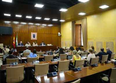  La Comisin de Inclusin Social, Juventud, Familias e Igualdad al inicio de las comparecencias de la consejera Loles Lpez