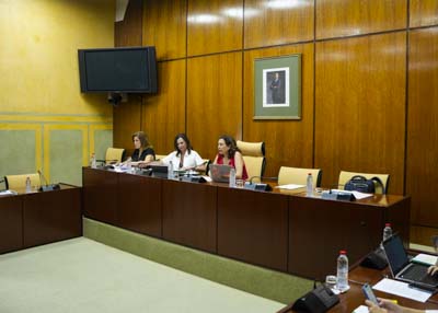  La Mesa de la Comisin de Fomento, Articulacin del Territorio y Vivienda con la consejera Roco Daz al inicio de la sesin de esta tarde