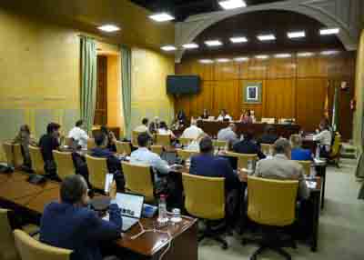 La Comisin de Fomento, Articulacin del Territorio y Vivienda en un momento de la primera comparecencia de esta tarde de la consejera Roco Daz
