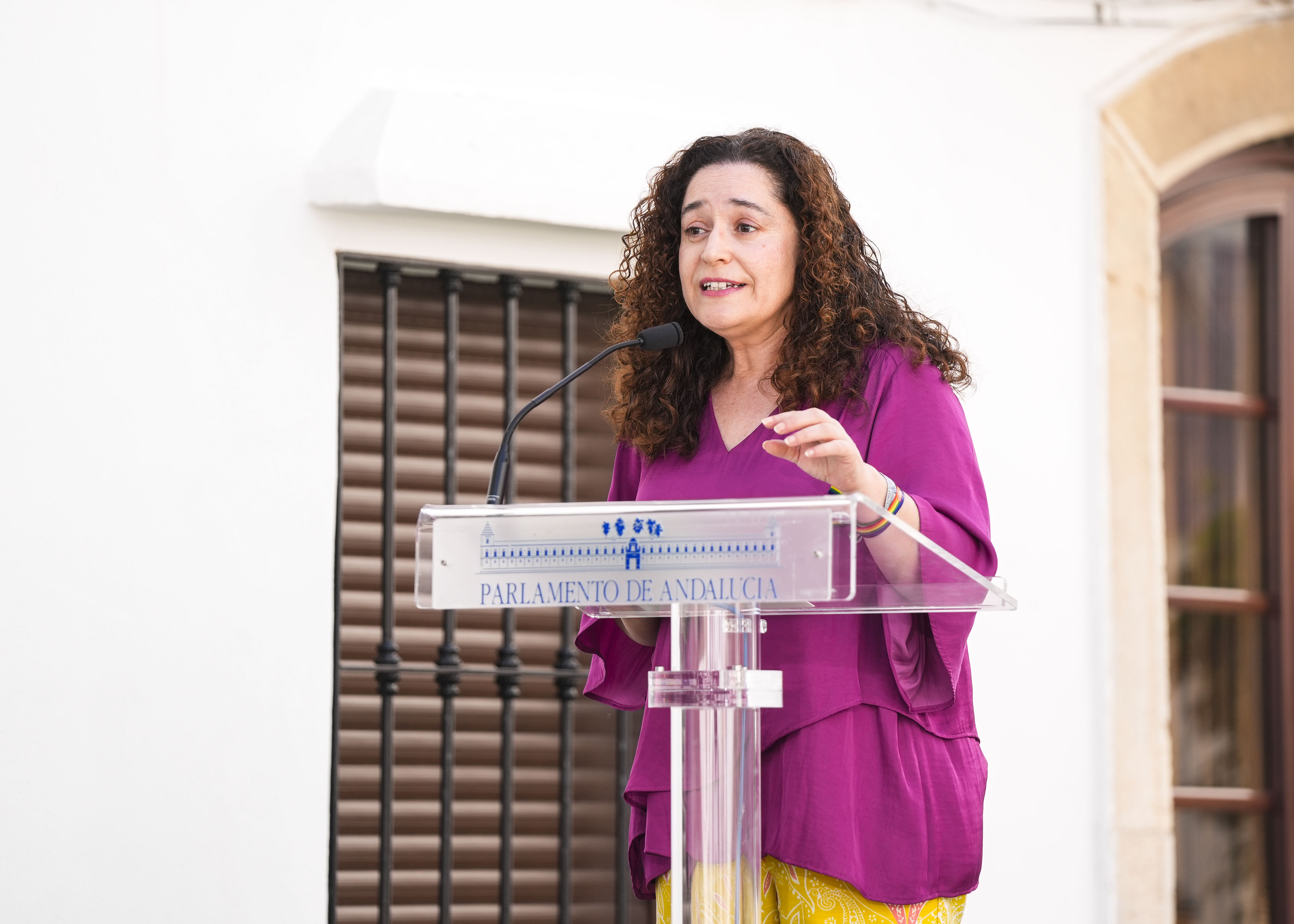 Inmaculada Nieto, portavoz del G.P. Por Andaluca  