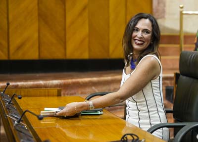 La consejera de Fomento, Articulacin del Territorio y Vivienda, Roco Daz, antes de comenzar la sesin 