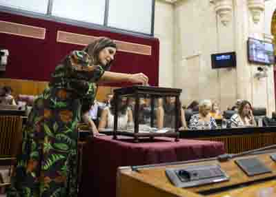 Mara de los ngeles Frriz, portavoz adjunta del G.P. Socialista, deposita su voto 