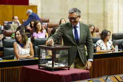 Manuel Gavira, portavoz del Grupo Vox en Andaluca, durante la votacin 