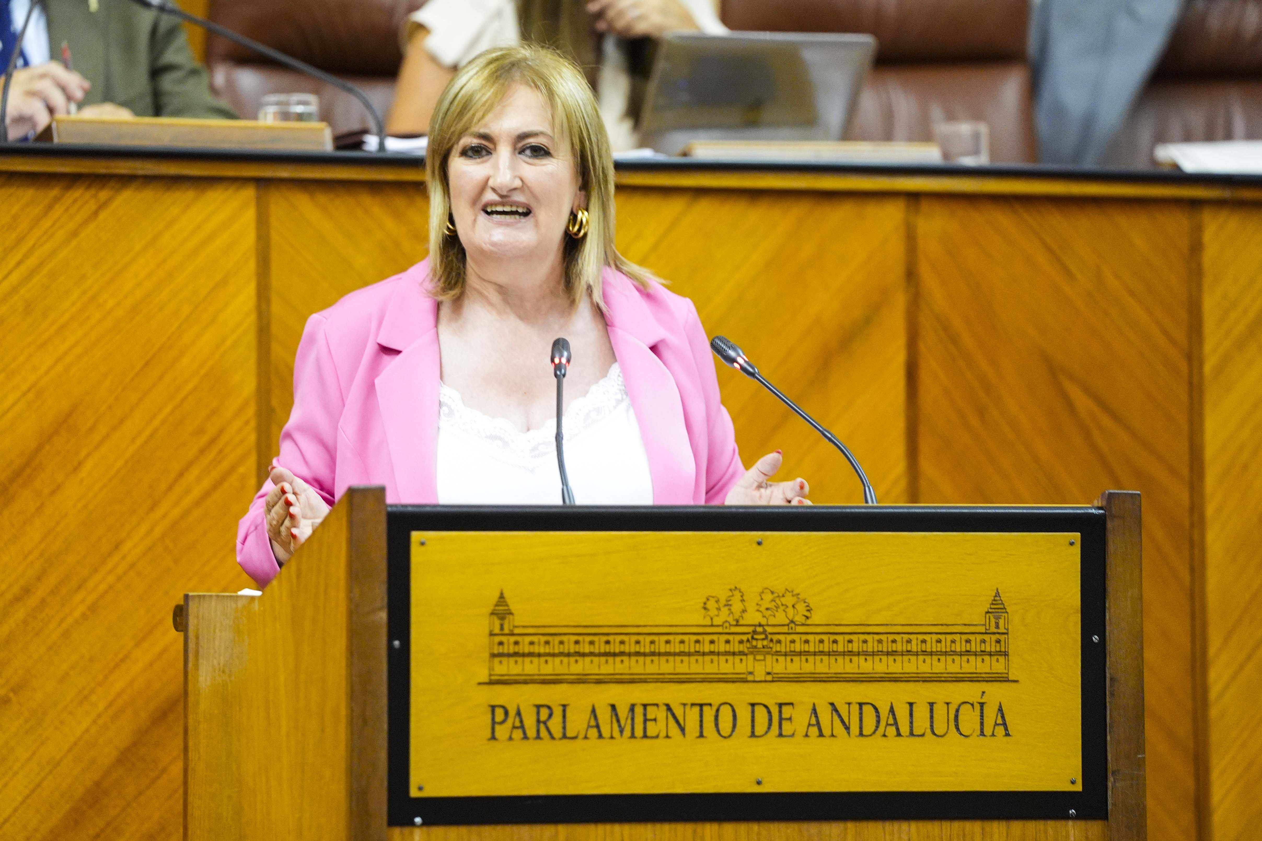 Para defender el parecer del Grupo Parlamentario Popular interviene Celia Santiago   