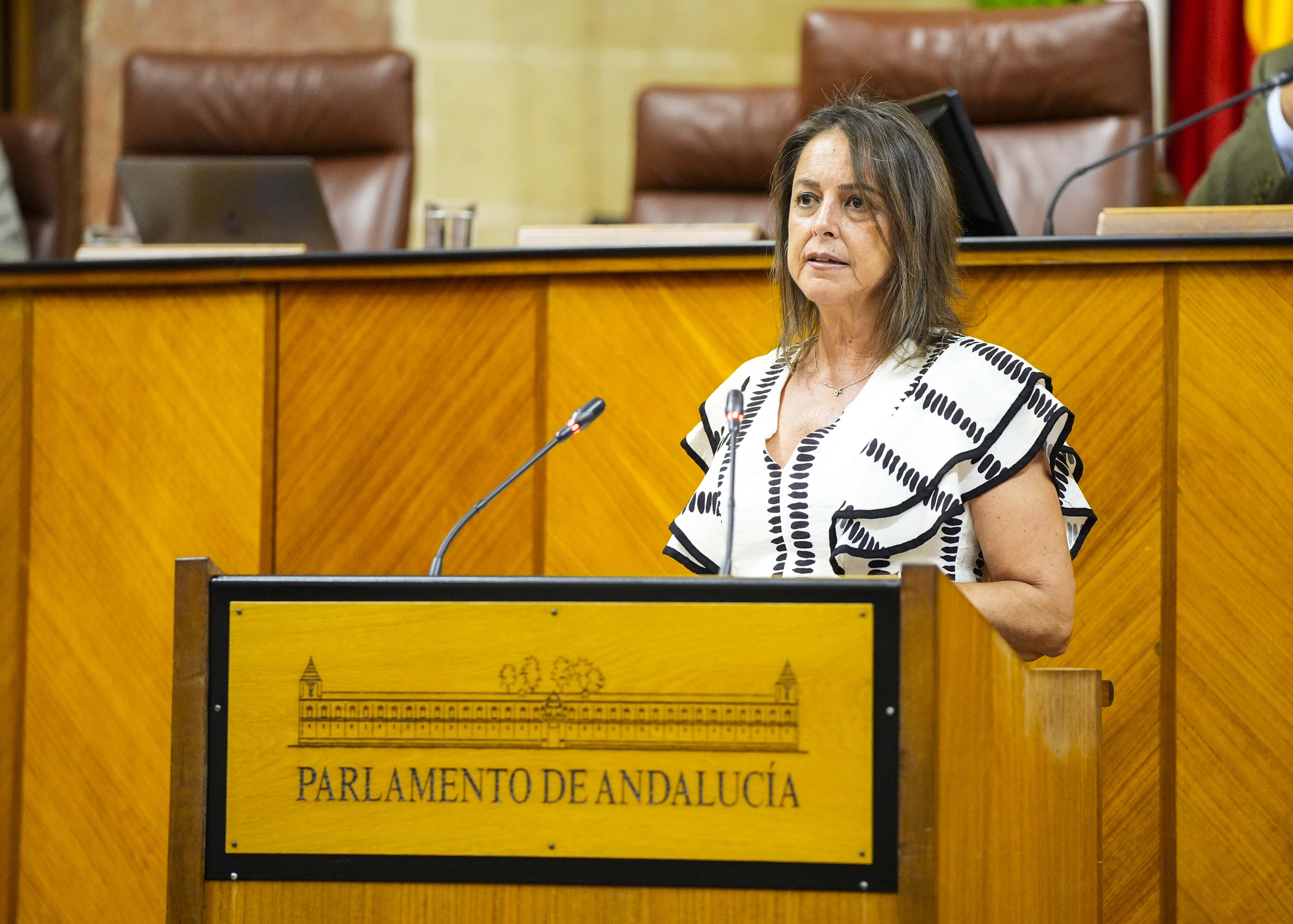  La consejera de Sostenibilidad y Medio Ambiente, Catalina Garca, informa sobre los tratamientos preventivos realizados para evitar incendios forestales en los espacios naturales protegidos y su zona de influencia durante los aos 2024-2025 
