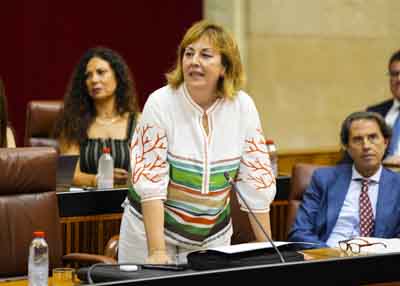 Cristina Alejandra Martnez, del Grupo Vox, formula una pregunta en pleno relativa a polticas fiscales 