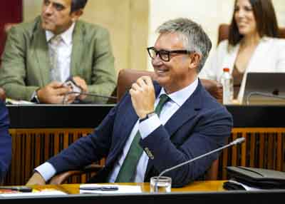Manuel Gavira, portavoz del Grupo Vox, en un momento de la sesin 