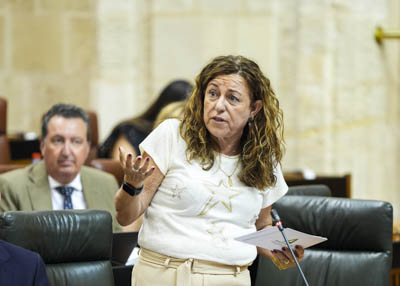 Mara del Carmen Castillo, consejera de Desarrollo Educativo y Formacin Profesional, contesta 