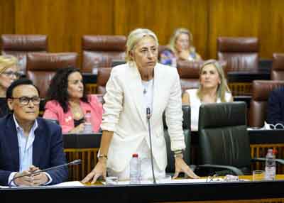 Roco Hernndez, consejera de Salud y Consumo, se dispone a dar respuesta a la cuestin 