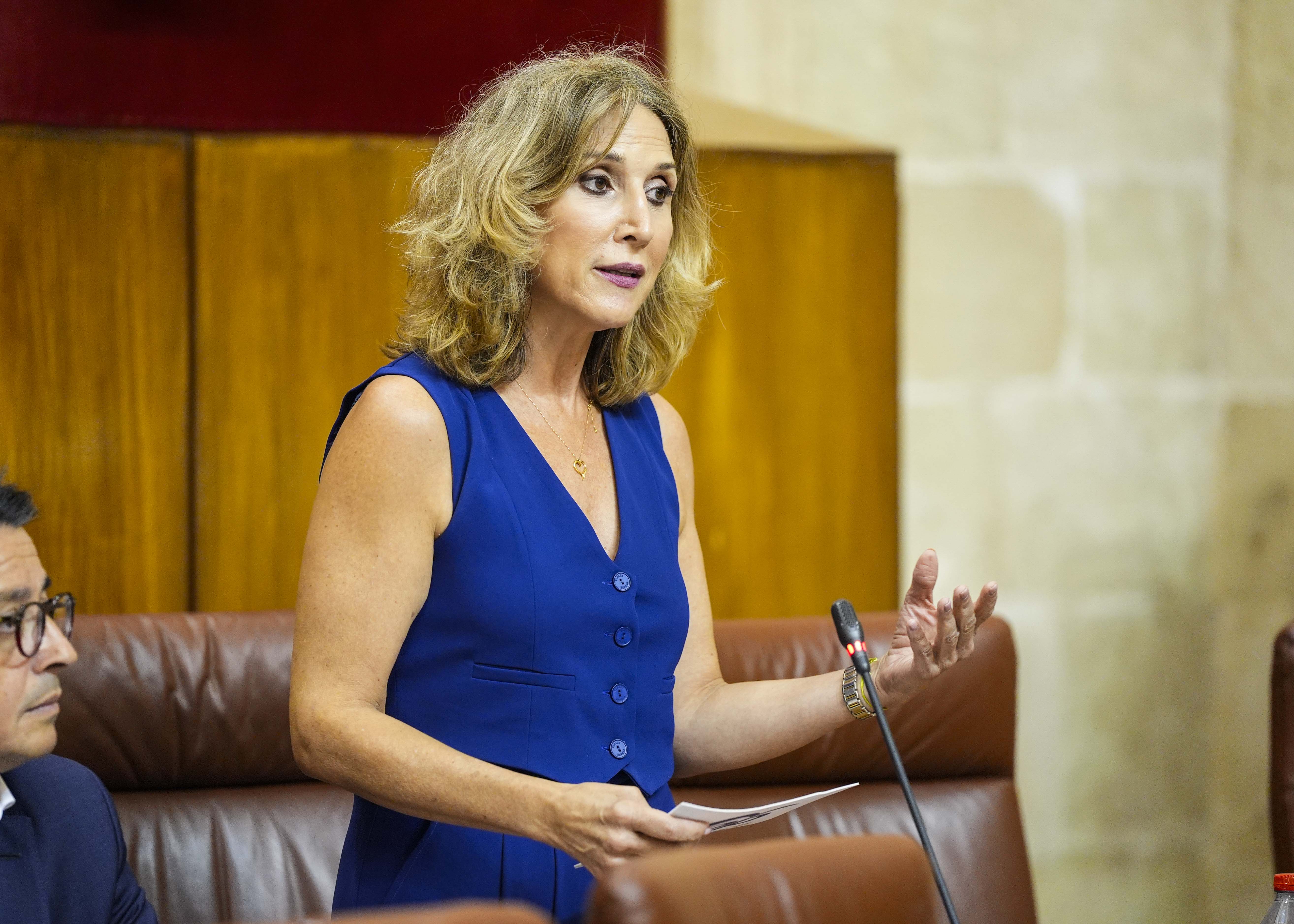 A propuesta del Grupo Popular, Julia Ibez pregunta sobre la gestin y promocin del turismo en Andaluca 