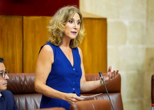 A propuesta del Grupo Popular, Julia Ibez pregunta sobre la gestin y promocin del turismo en Andaluca 