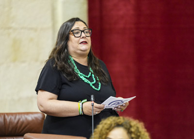 La diputada Dolores Bautista, del Grupo Popular pregunta sobre el Museo de Bellas Artes de Sevilla 