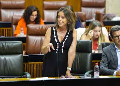 La consejera de Sostenibilidad y Medio Ambiente, Catalina Garca, da respuesta a la cuestin  