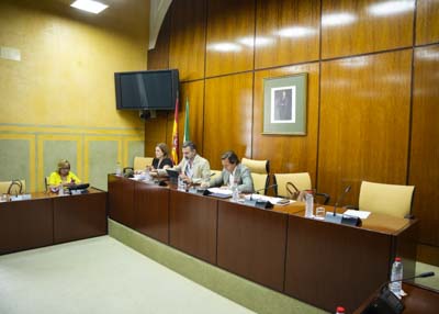 La Mesa de la Comisin de Agricultura, Pesca, Agua y Desarrollo Rural al inicio de las comparecencias del consejero Ramn Fernndez-Pacheco 
