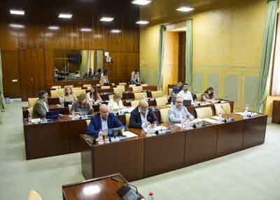 Los miembros de la Comisin de Agricultura atienden una de las comparecencias del consejero Ramn Fernndez-Pacheco 