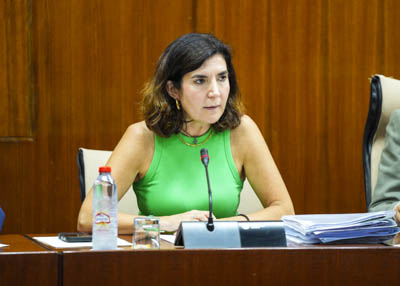 La consejera de Empleo, Empresa y Trabajo Autnomo, Roco Blanco, informa esta tarde en comisin parlamentaria 