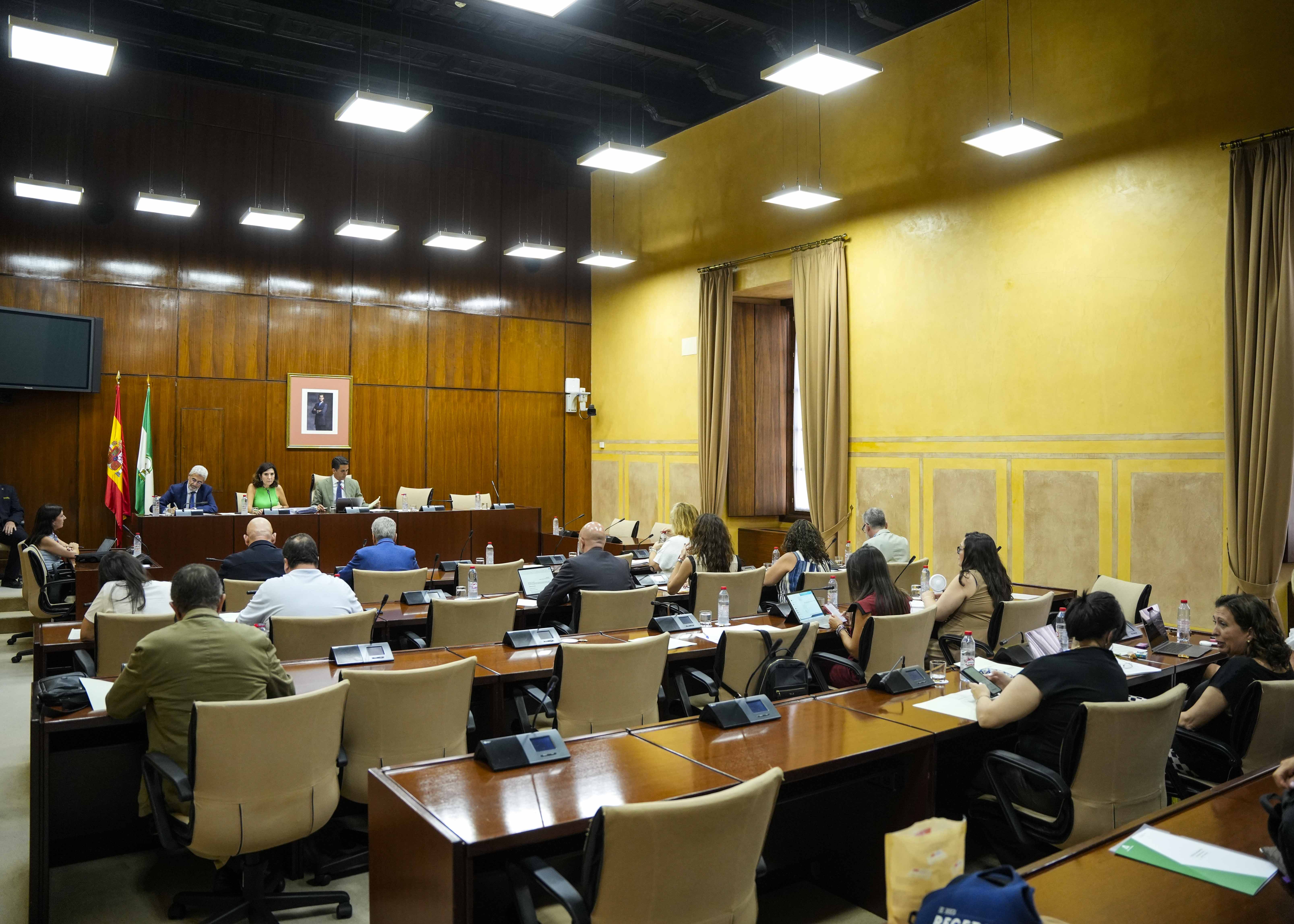 La Comisin de Empleo, Empresa y Trabajo Autnomo asiste a la comparecencia de la consejera del ramo  