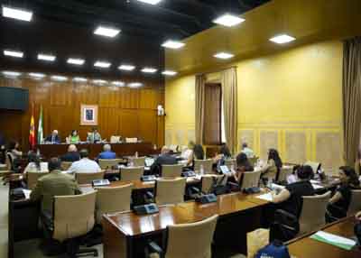 La Comisin de Empleo, Empresa y Trabajo Autnomo asiste a la comparecencia de la consejera del ramo  