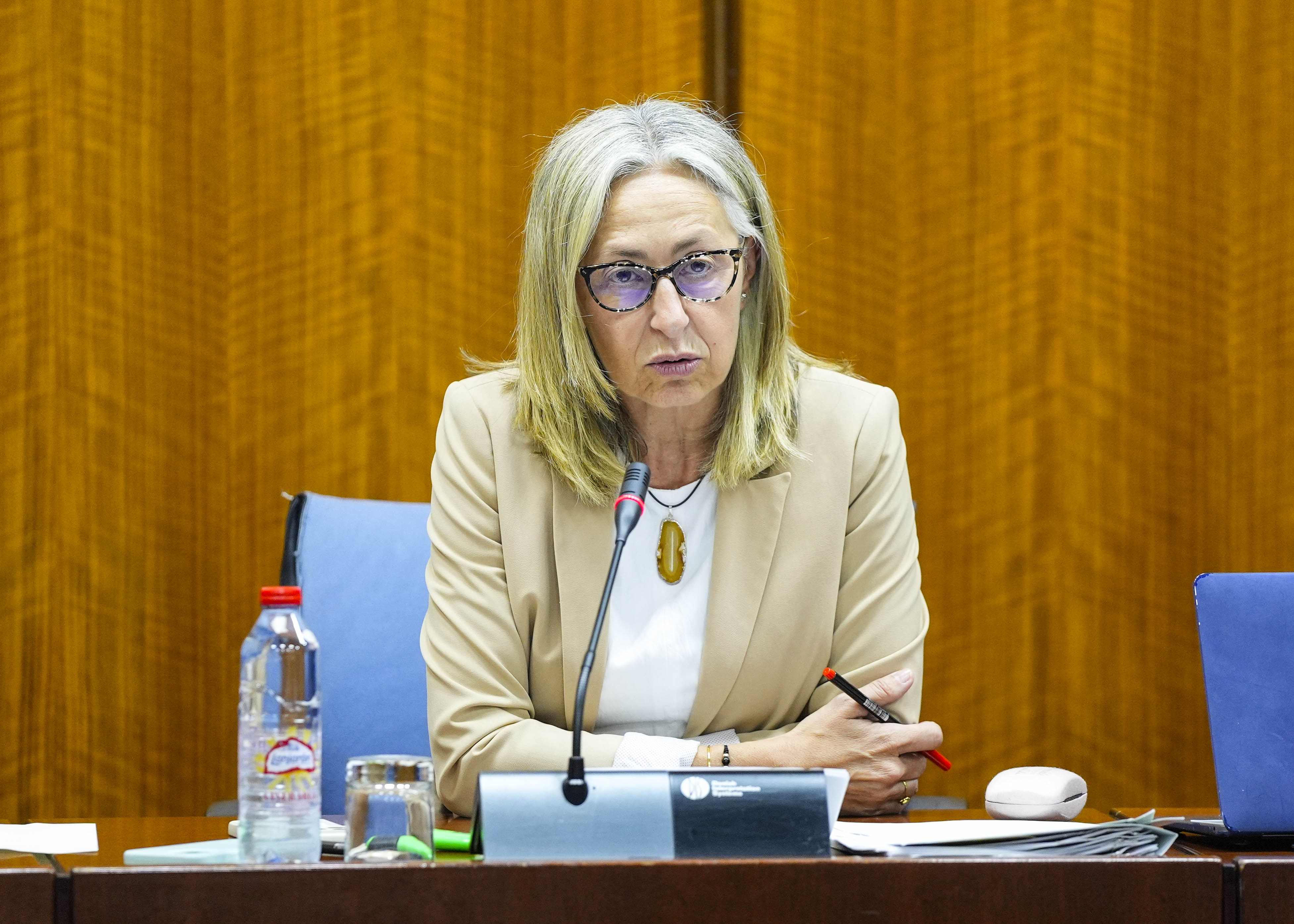 La consejera de Salud y Consumo, Roco Hernndez, comparece para informar, entre otros aspectos, de la situacin de las enfermeras en el SAS  