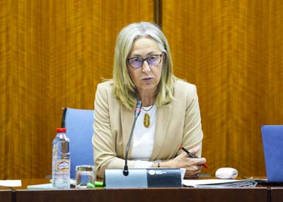 La consejera de Salud y Consumo, Roco Hernndez, comparece para informar, entre otros aspectos, de la situacin de las enfermeras en el SAS  