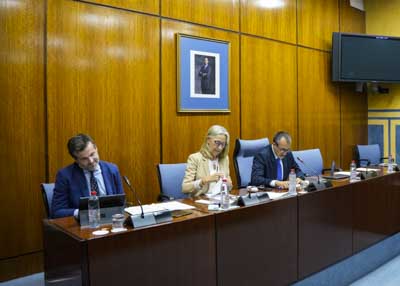 La Mesa de la Comisin de Salud y Consumo con la consejera titular al inicio de su comparecencia