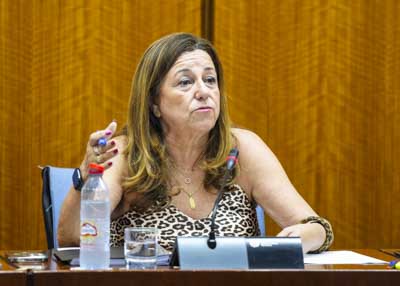 La consejera de Desarrollo Educativo y Formacin Profesional, Mara del Carmen Castillo, informa en comisin sobre el balance del curso escolar 2024-2025 