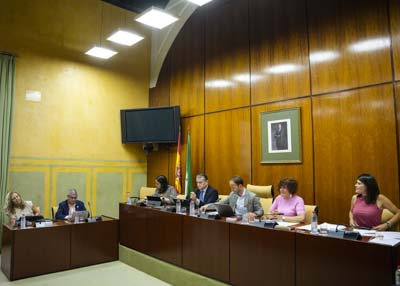 La Mesa de la Comisin de Presidencia, Interior, Dilogo Social y Simplificacin Administrativa con el consejero Antonio Sanz  