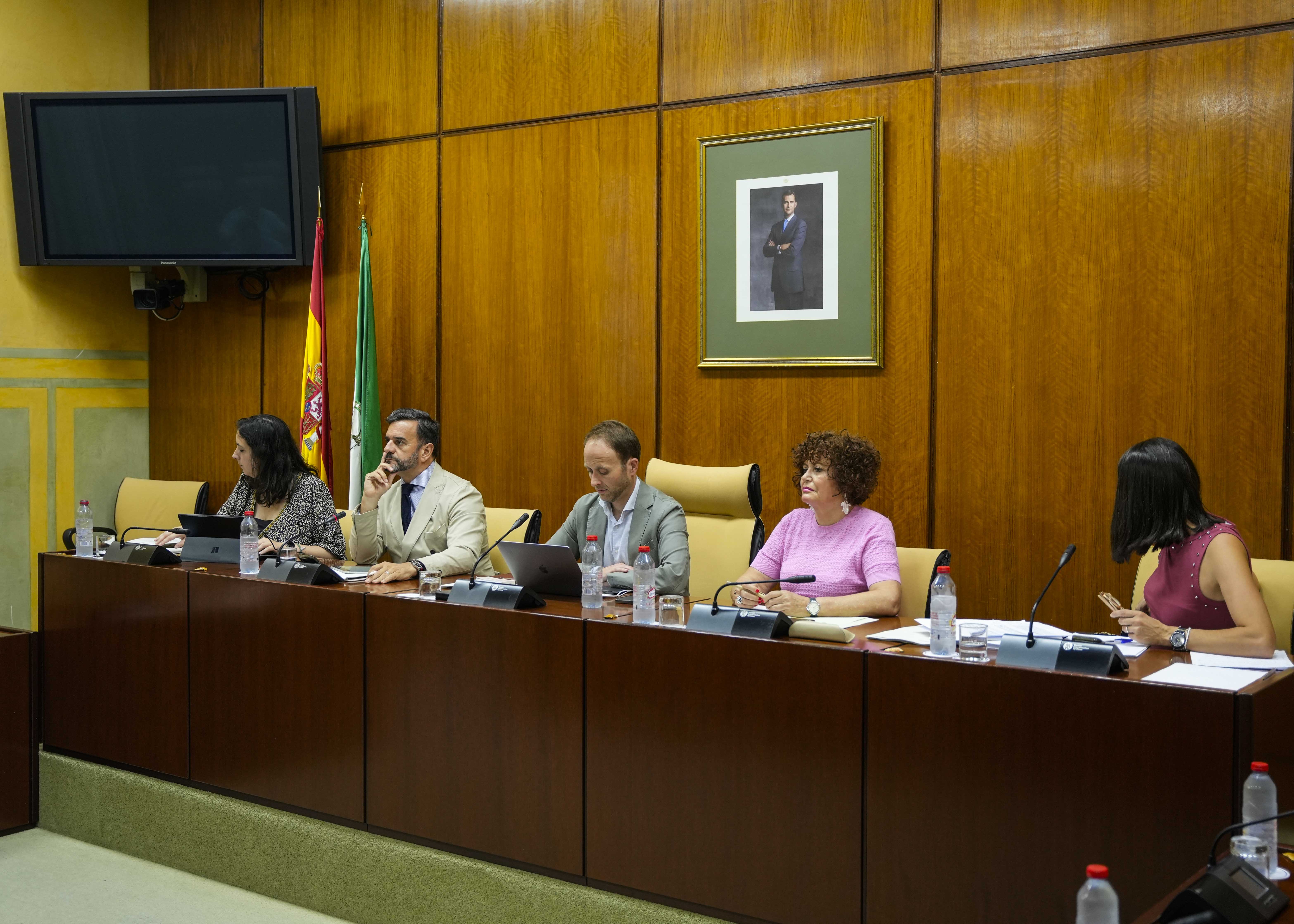 Manuel Alejandro Cardenete, presidente de la Cmara de Cuentas, y la Mesa de la Comisin de Presidencia