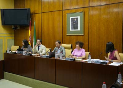 Manuel Alejandro Cardenete, presidente de la Cmara de Cuentas, y la Mesa de la Comisin de Presidencia