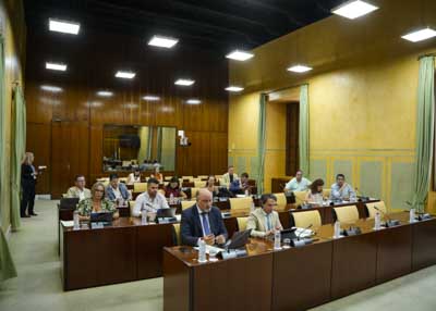 Diputados de la Comisin de Presidencia, Interior, Dilogo Social y Simplificacin Administrativa durante la sesin de esta maana