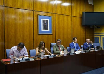 La Mesa de la Comisin de Desarrollo Educativo y Formacin Profesional con la consejera titular, Mara del Carmen Castillo