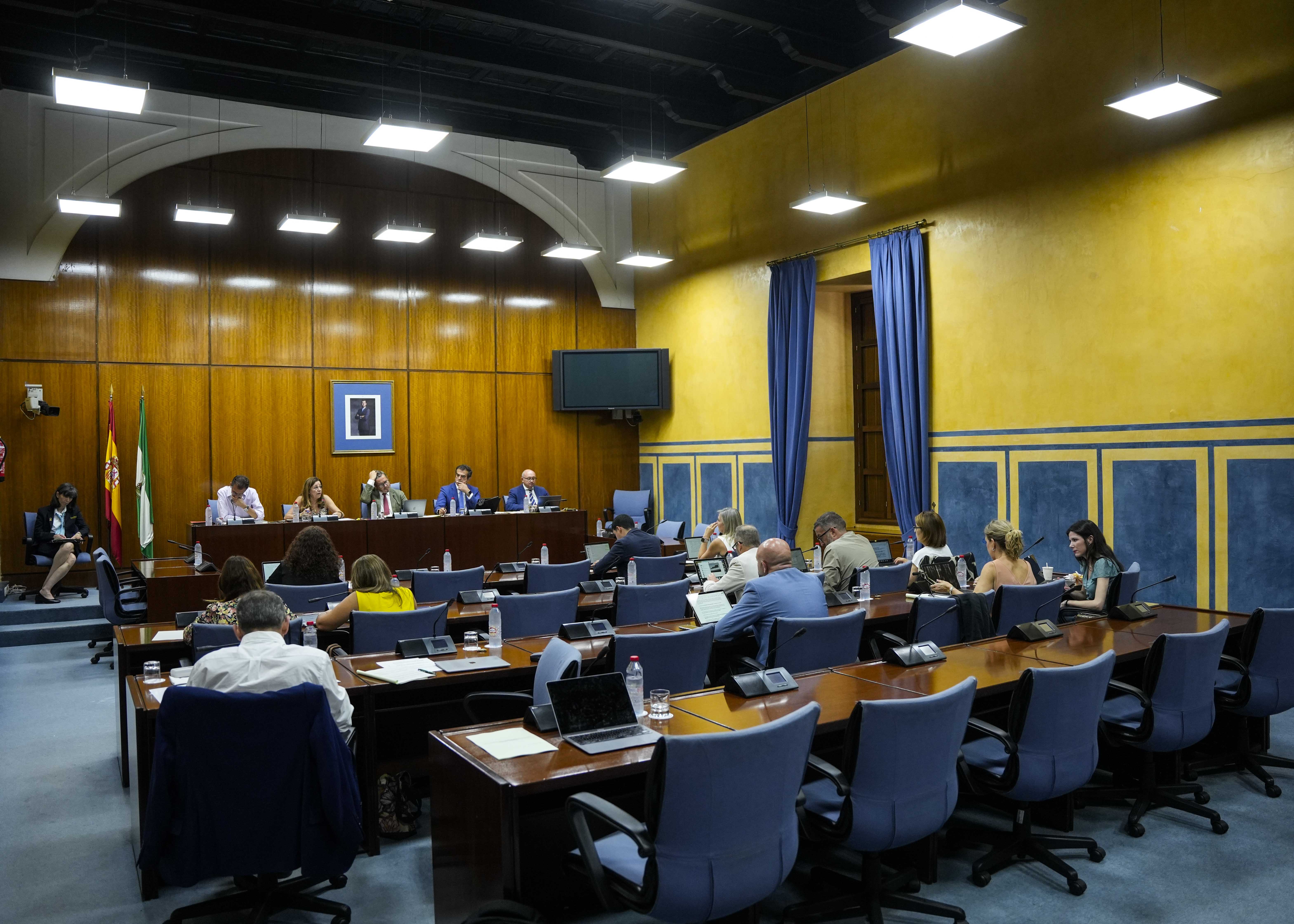 Vista general de la Comisin de Desarrollo Educativo y Formacin Profesional en su sesin de hoy  