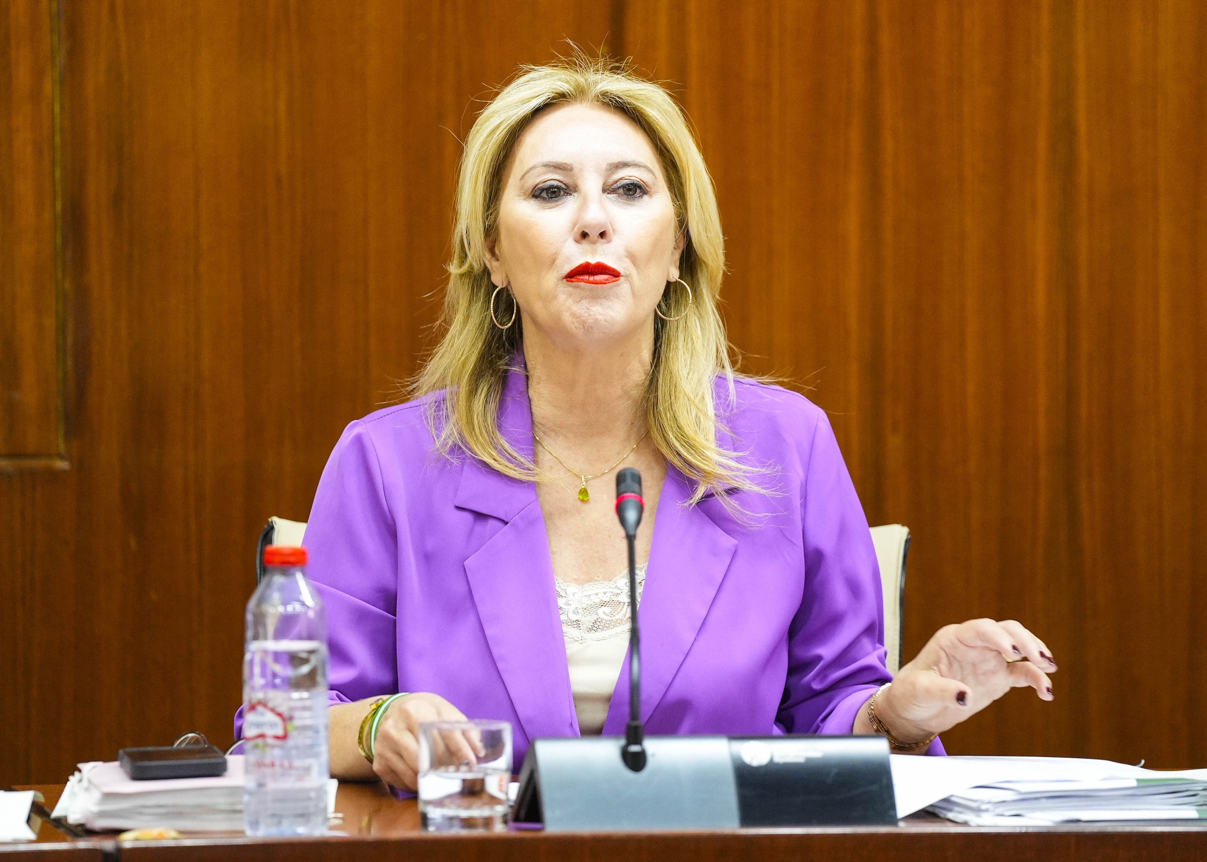 La consejera de Economa, Hacienda y Fondos Europeos, Carolina Espaa, durante una de sus comparecencias en la comisin correspondiente 
