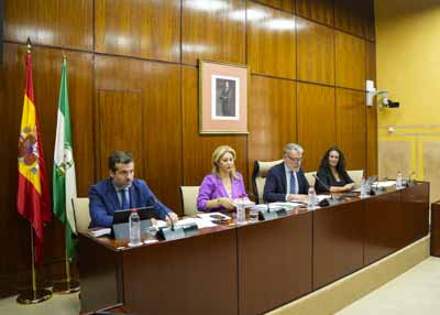 La Mesa de la Comisin de Economa, Hacienda y Fondos Europeos con Carolina Espaa, consejera titular 