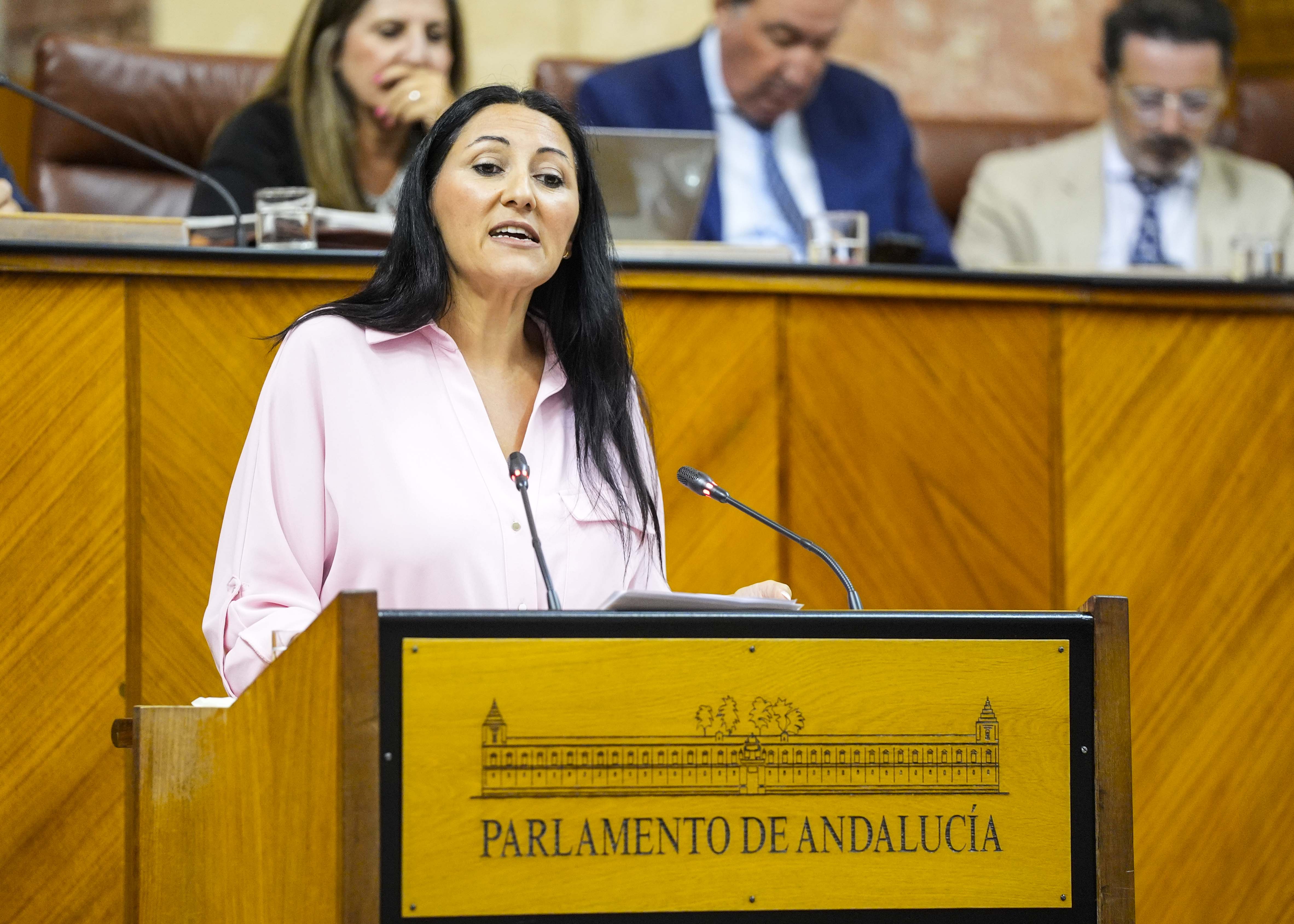 Alejandra Durn, portavoz adjunta del G.P. Por Andaluca, manifiesta el parecer de su grupo ante la proposicin de ley   