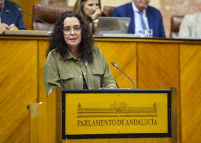 Susana Rivas posiciona al Grupo Parlamentario Socialista en el debate de la proposicin de ley  