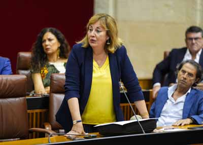 Por el G.P. Vox, Cristina Alejandra Jim�nez pregunta sobre la financiaci�n singular para Andaluc�a 