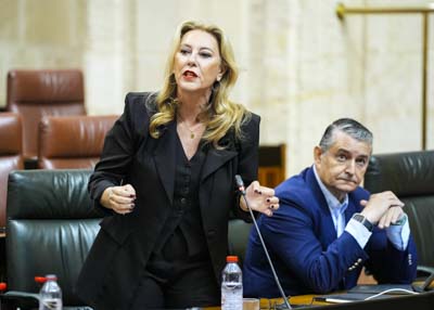 Carolina Espa�a, consejera de Econom�a, Hacienda y Fondos Europeos, responde a la cuesti�n 